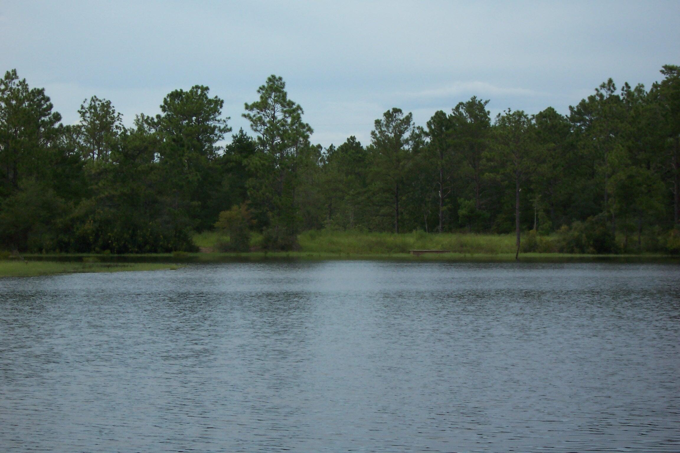 141 Silk Oak Drive — photo