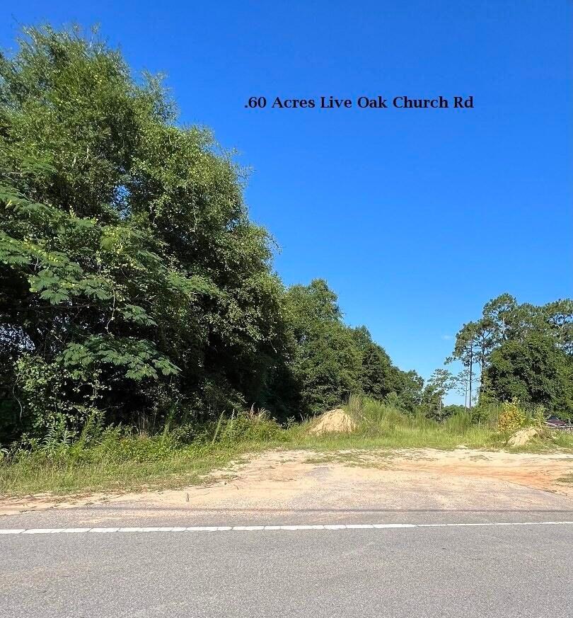 .60 Acres Live Oak Church Rd — photo