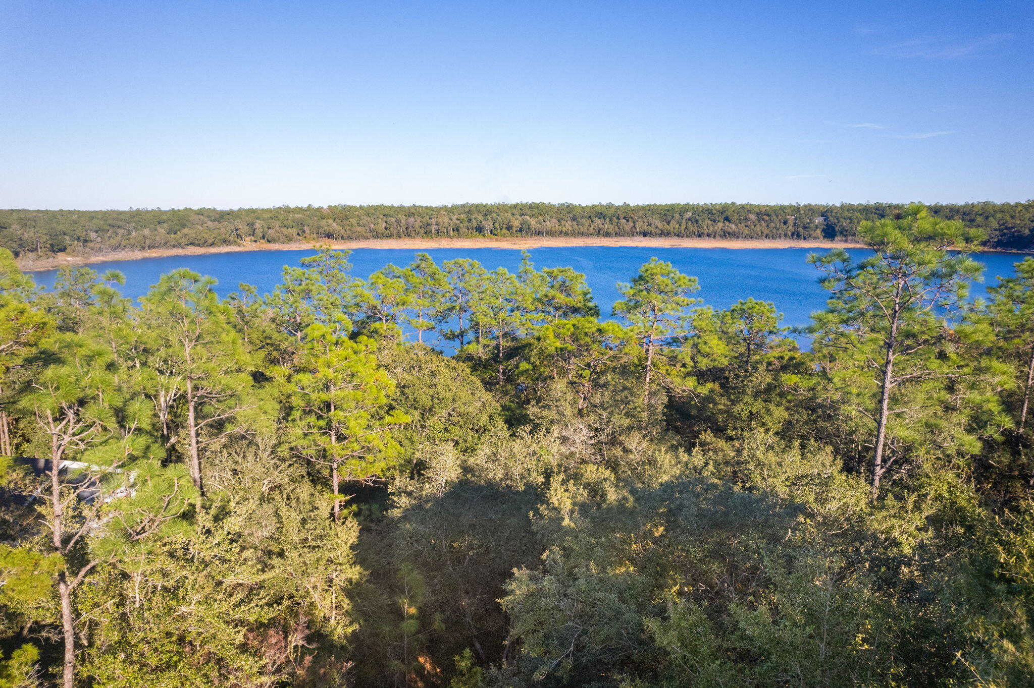 3425 Quail Ridge Drive, Chipley, FL 32428 — photo 3