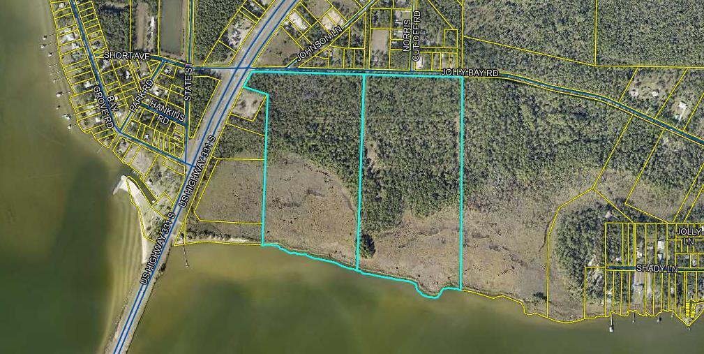 90 Acres Highway 331 S & Jolly Bay Road — photo