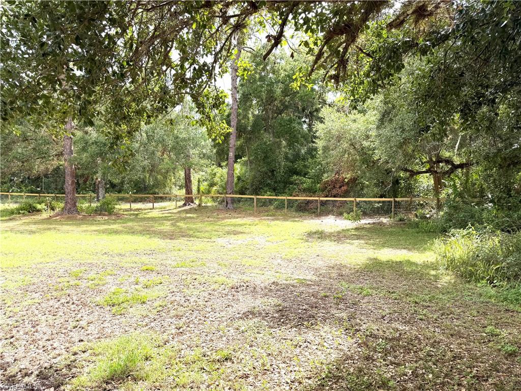 18251 Persimmon Ridge Rd, Alva, FL 33920 — photo 3