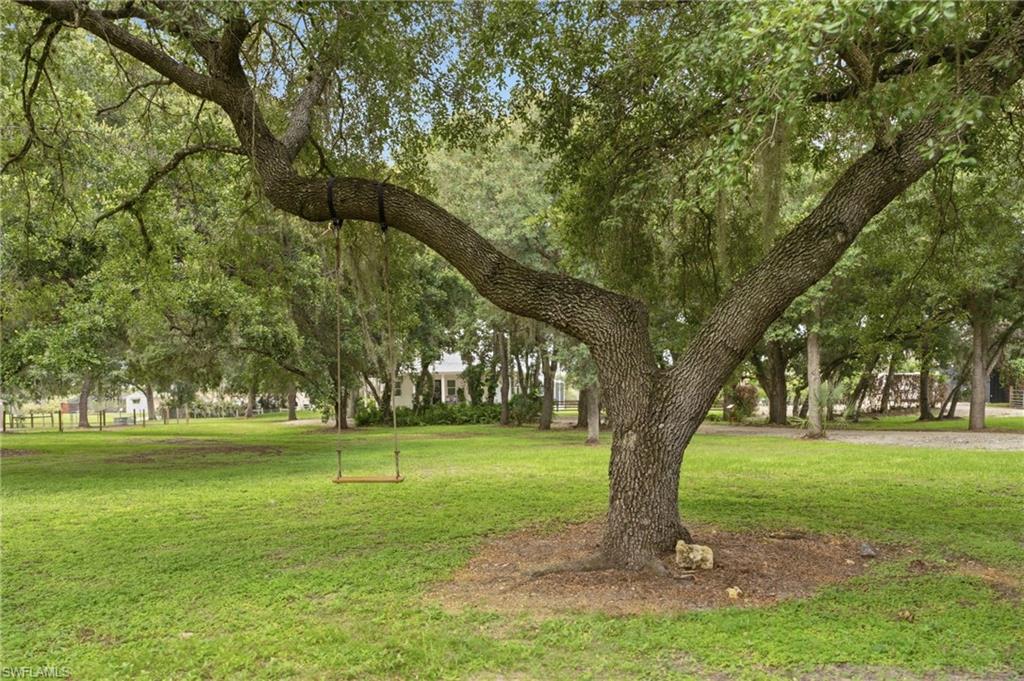 3651 Bateman Rd, Alva, FL 33920 — photo 2