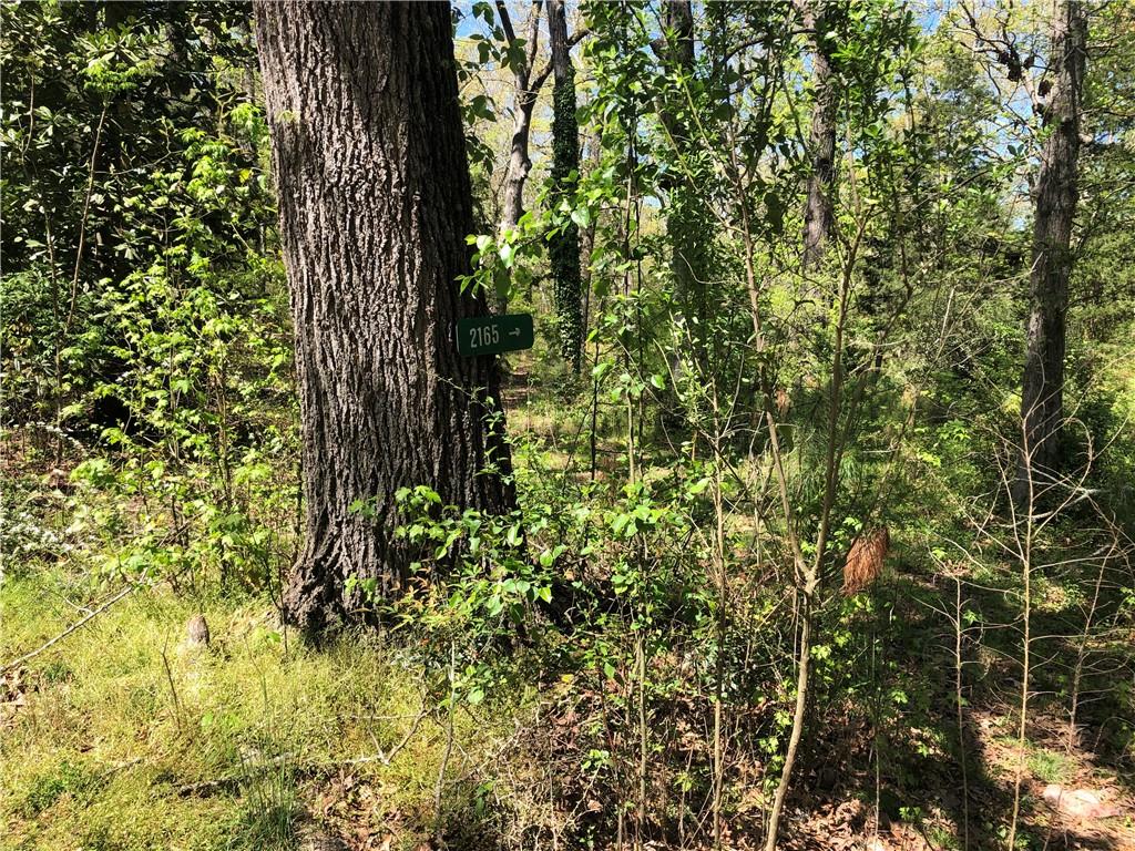 2165 Old Salem Road SE — photo