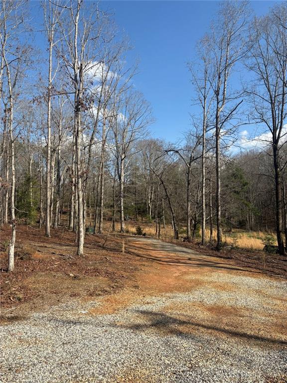 643 Old Ridge Road, Demorest GA 30535 — photo 3