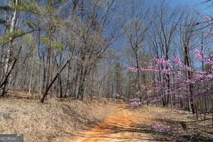 0 Soapstone Road, Baldwin, GA 30511 — photo 2