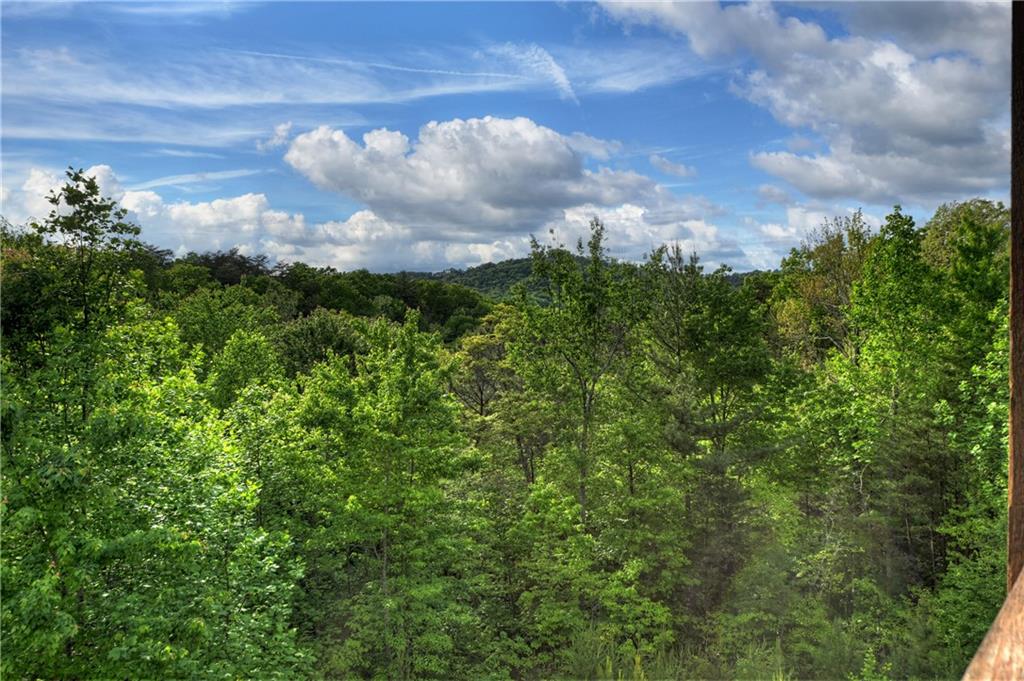 3804 Aska Road, Blue Ridge GA 30513 — photo 3