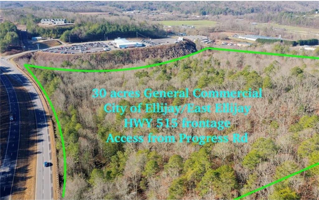 944 Progress Road, East Ellijay, GA 30540