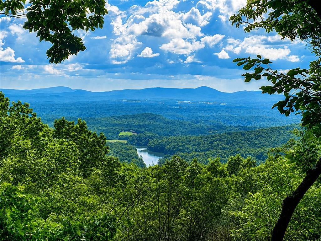300 Sassafras Mountain Trail — photo