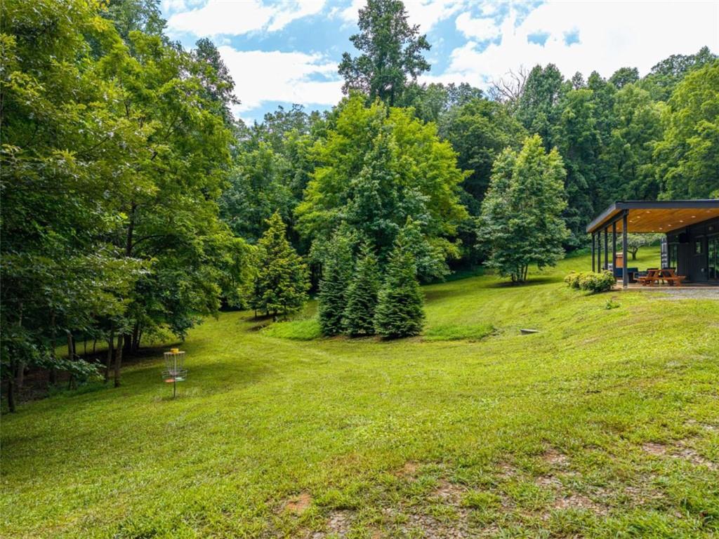 1824 Colwell Road, Blue Ridge, GA 30513 — photo 3