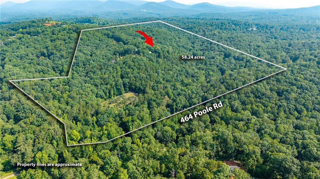 464 Poole Road, Ball Ground, GA 30107 — photo 3