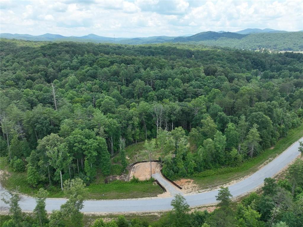 02 Blue Mountain Road — photo
