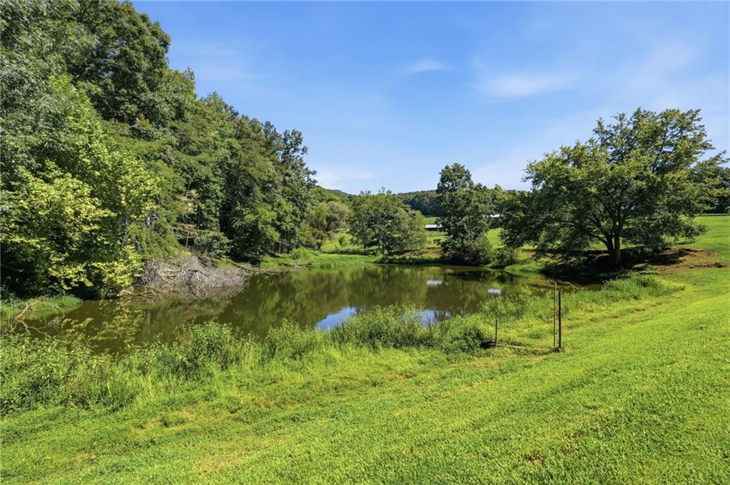 1673 Rackley Road, Ellijay, GA 30536 — photo 3