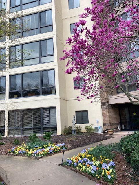 1800 Clairmont Lake Unit 301 — photo