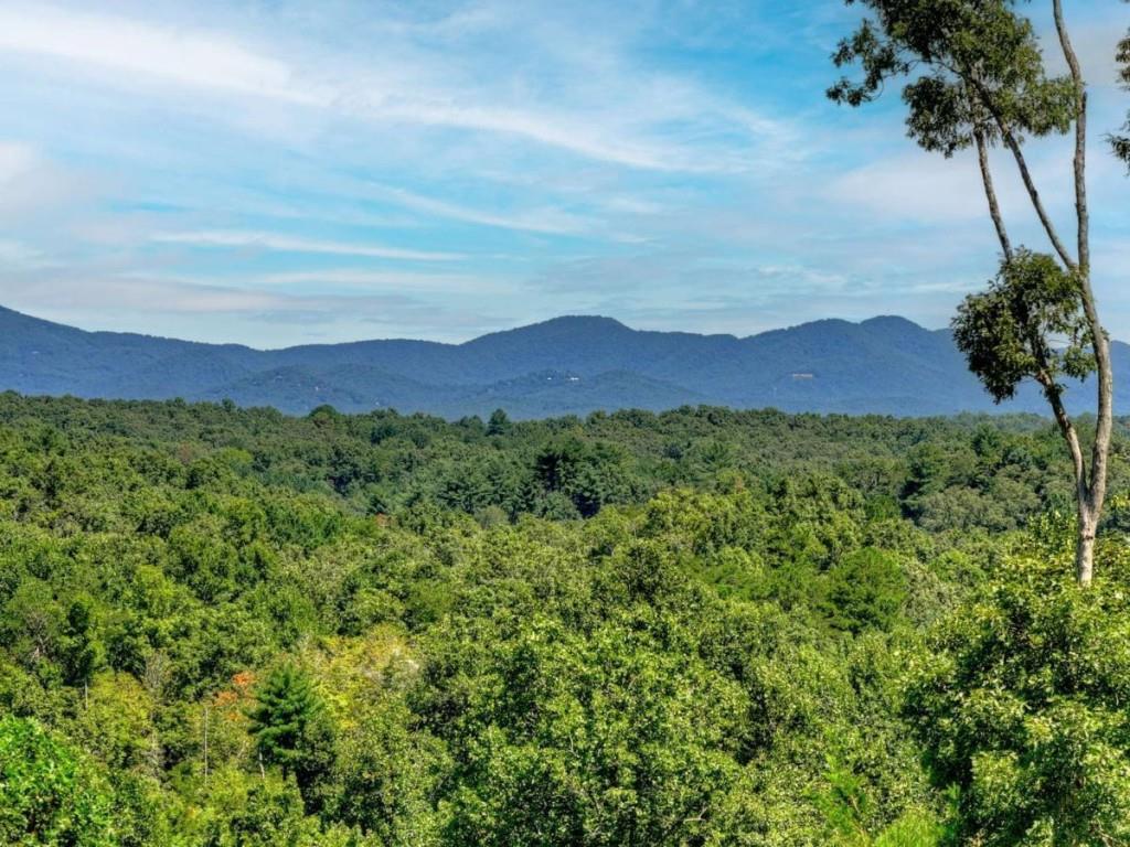 320 Amber Ridge, Blue Ridge, GA 30513 — photo 2