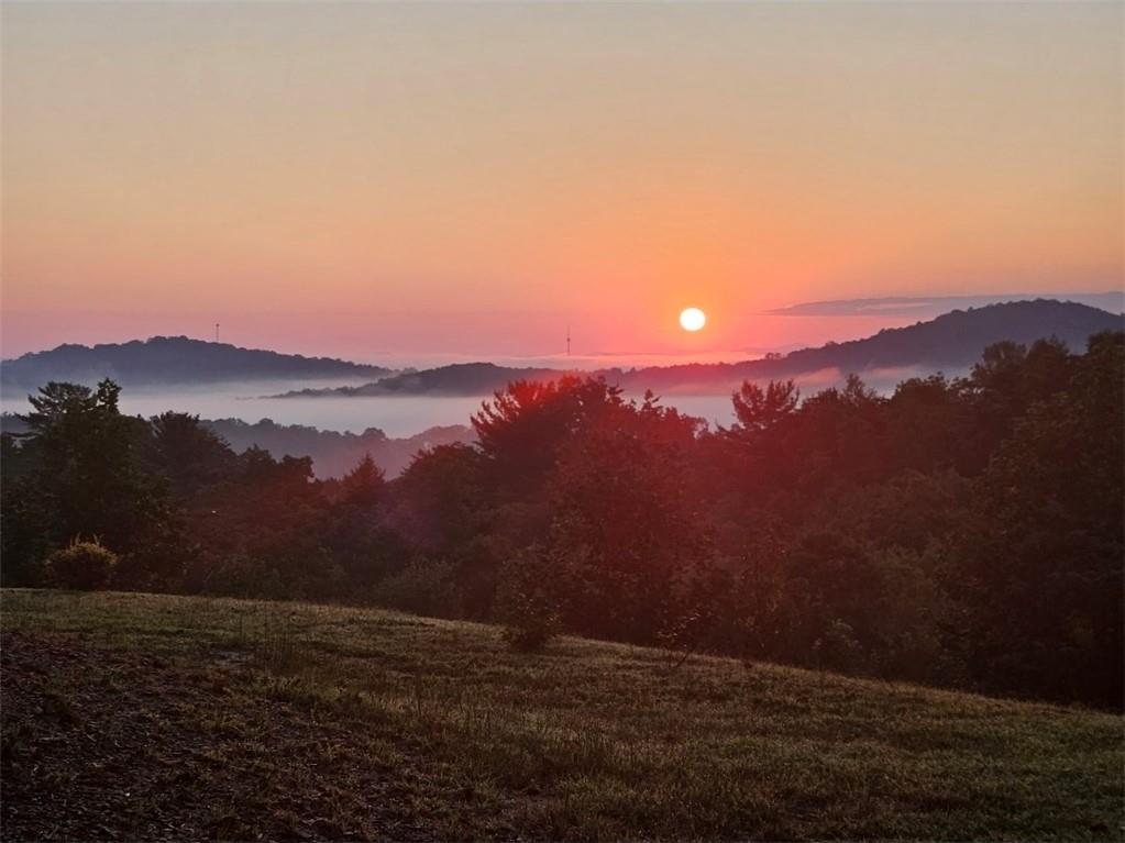259 Red Bush School Road, Blue Ridge, GA 30513 — photo 3