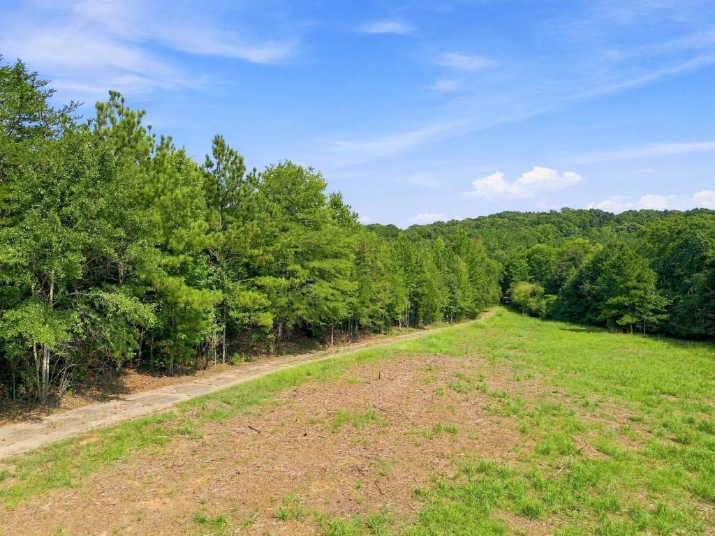 409 Peeples Road SE, Rome, GA 30104 — photo 3