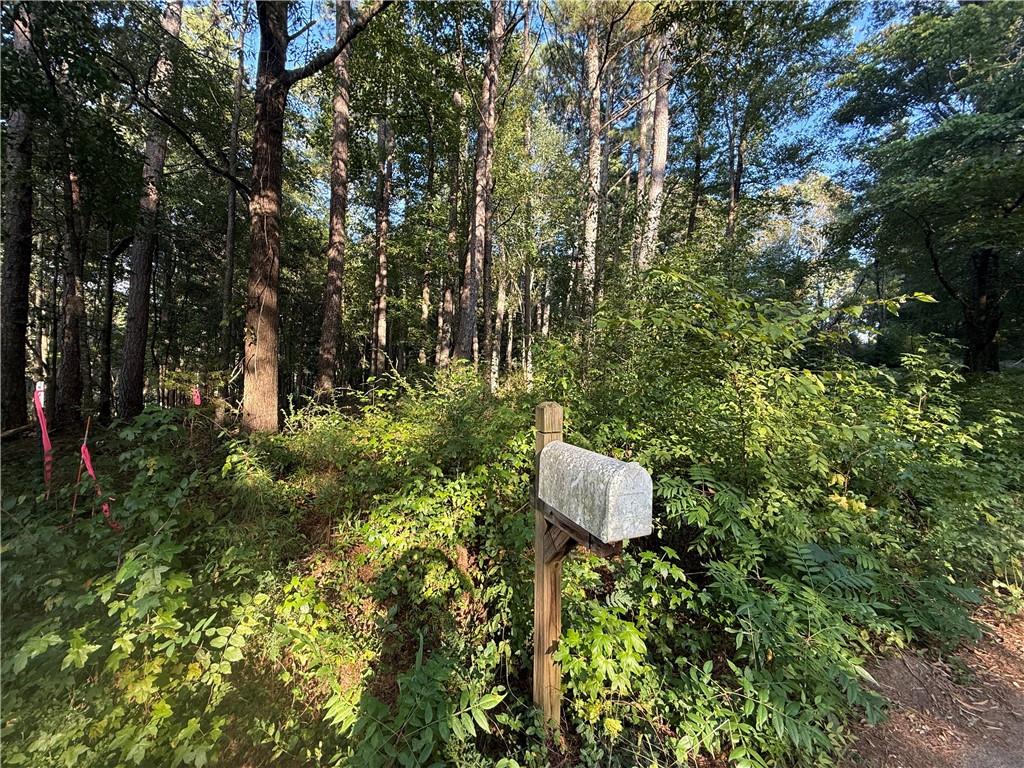 88 Grogan Hill Road SE — photo