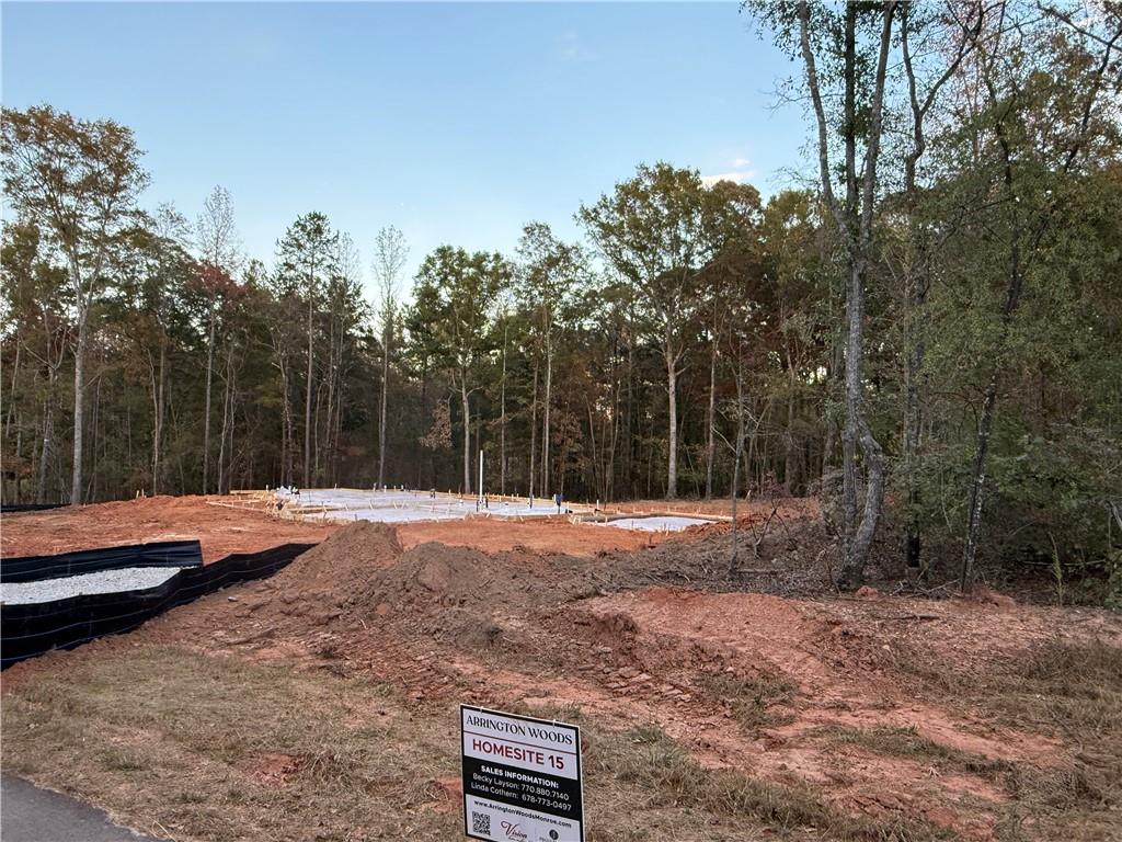 54 Springtime Way, Monroe, GA 30655 — photo 3