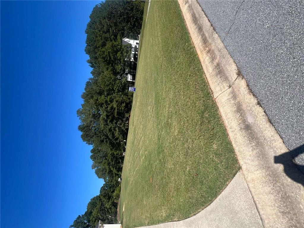90 Riverside Drive, Sharpsburg, GA 30277 — photo 2