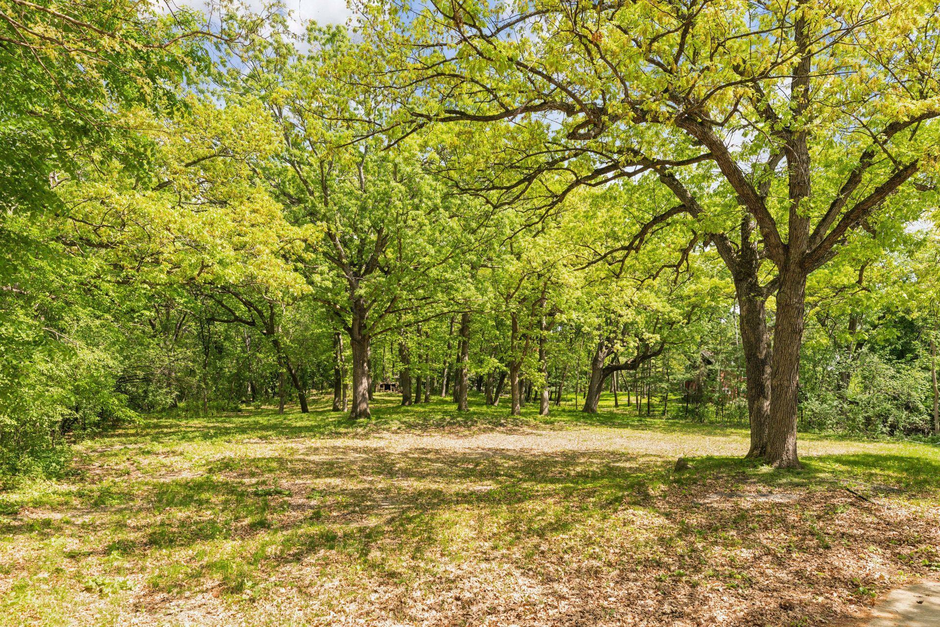5125 Schaefer Road, Edina, MN 55436 — photo 3