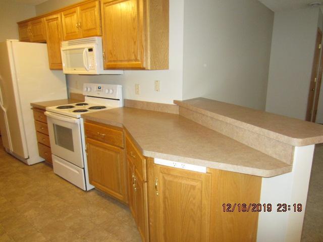 Home in Ramsey, MN 55303 — photo 3