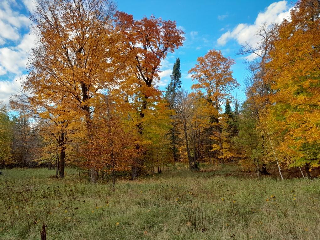 47624 Bowstring C, Deer River, MN 56636 — photo 2