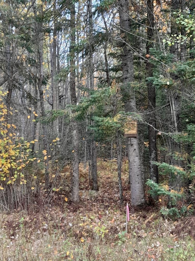 47624 Bowstring C, Deer River, MN 56636 — photo 3