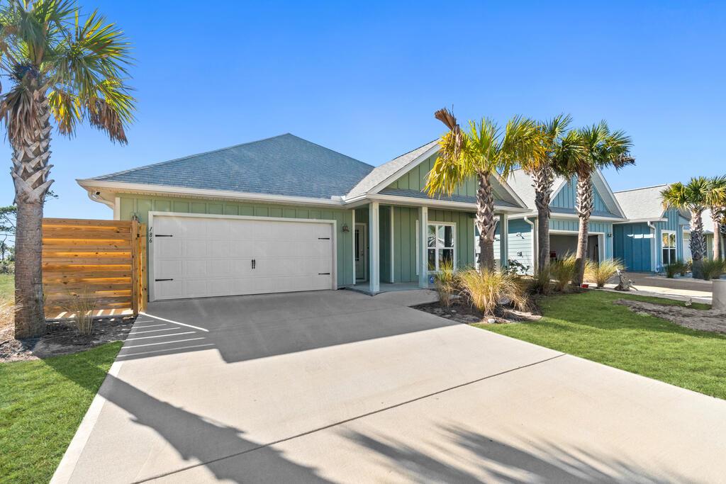 186 Pond Cypress CV — photo