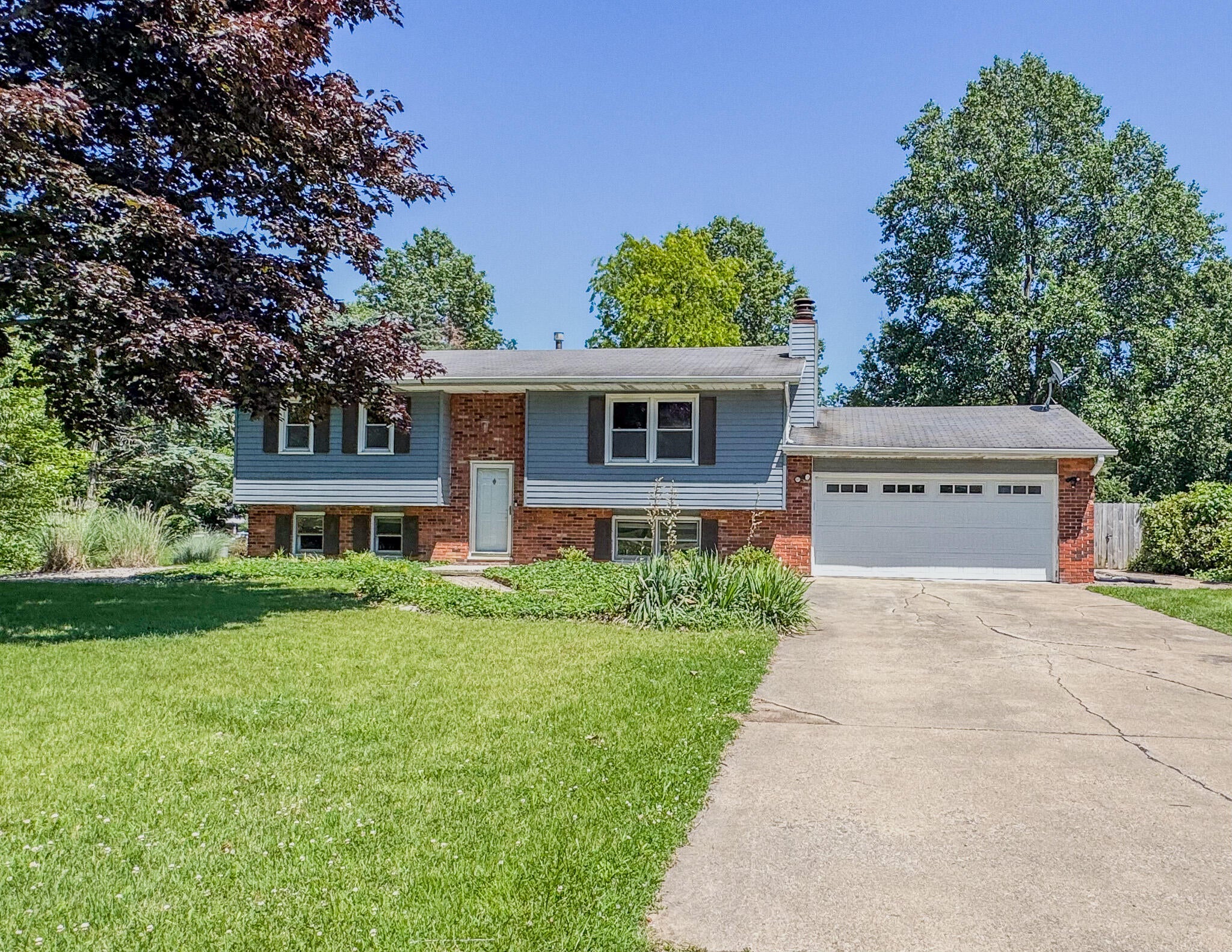 53 Cain Drive — photo