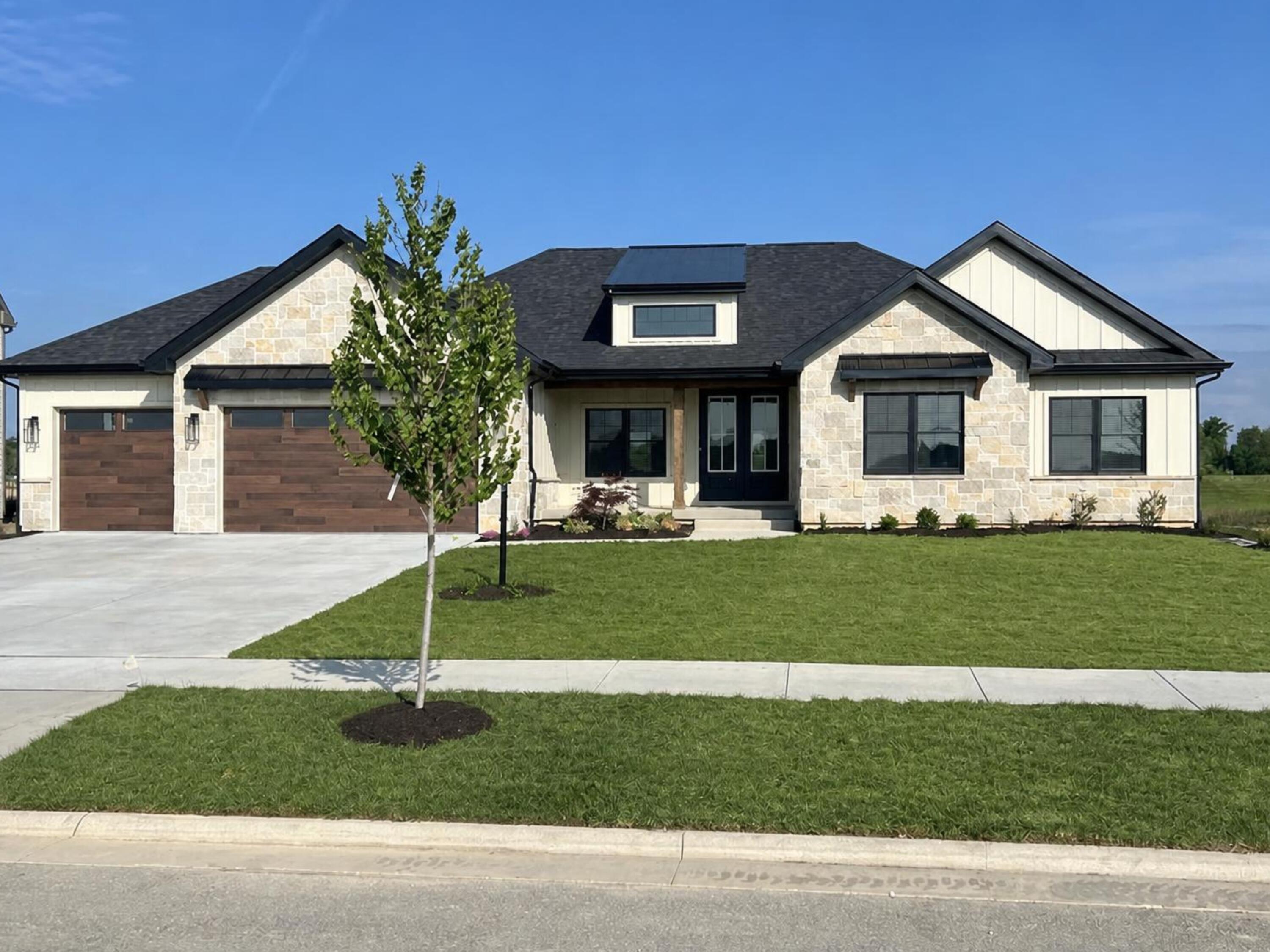 9864 Switch Grass — photo