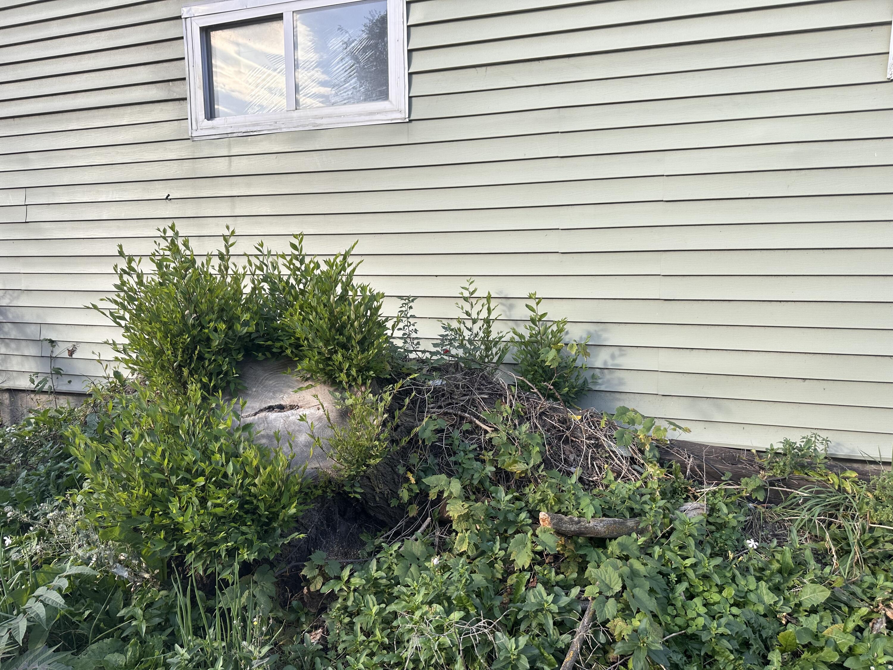 5641 E 13th Place, Gary, IN 46403 — photo 3