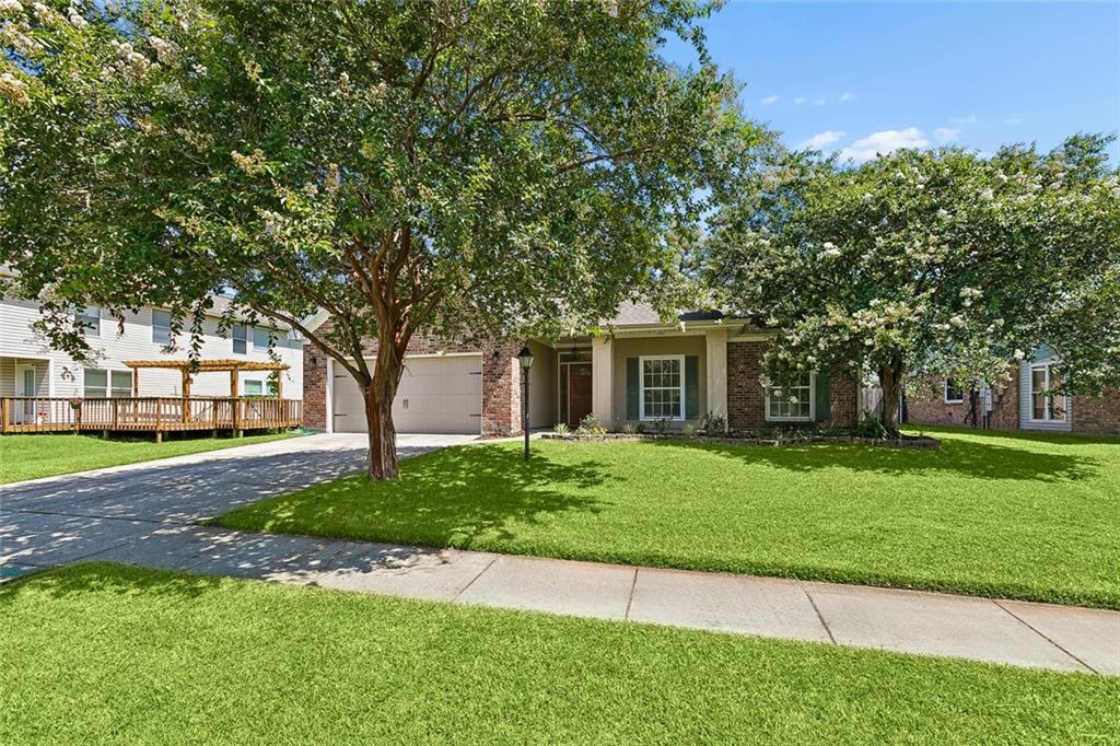 412 Spartan Loop — photo