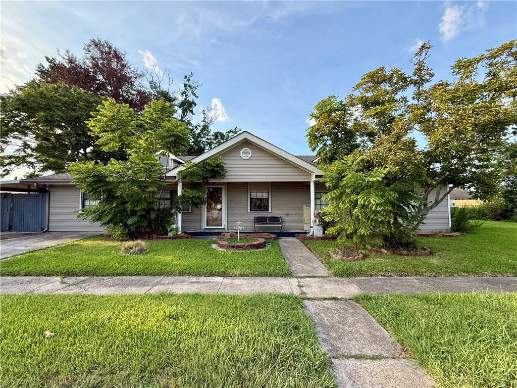 1244 Manson Drive — photo