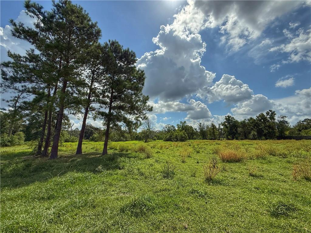 43058 Happywoods Road — photo