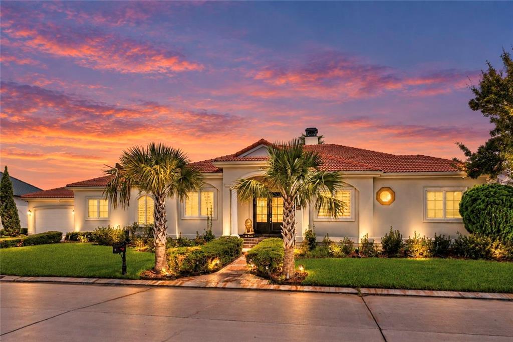 28 Palmetto — photo