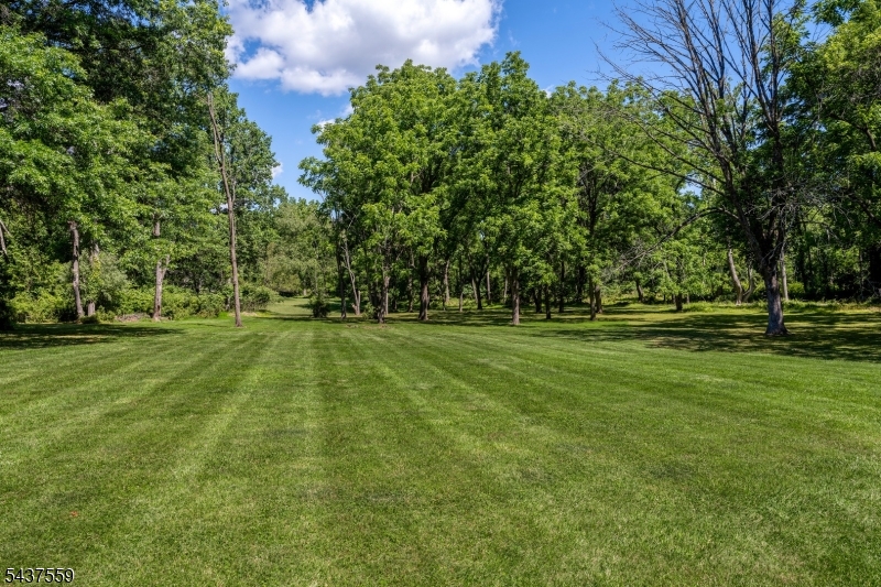 20 Sand Hill Road, Flemington, NJ 08822 — photo 3