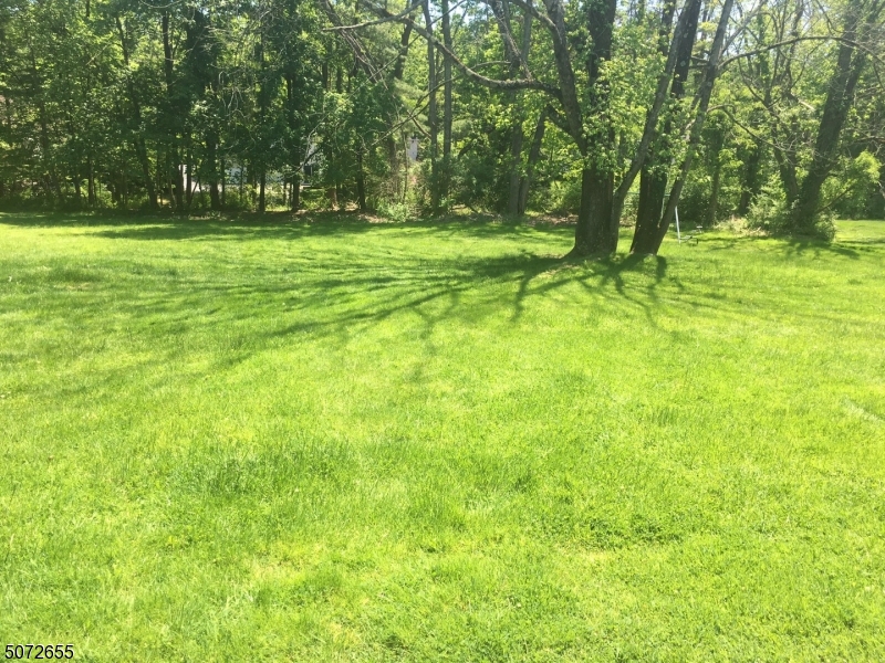 424 White Oak Ridge Road, Short Hills, NJ 07078 — photo 3