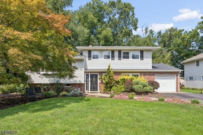 11 Surrey Lane — photo