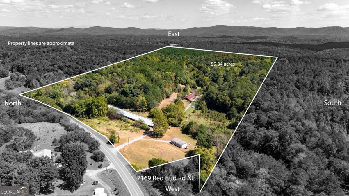 7169 Red Bud Road NE, Ranger GA 30734 — photo 2