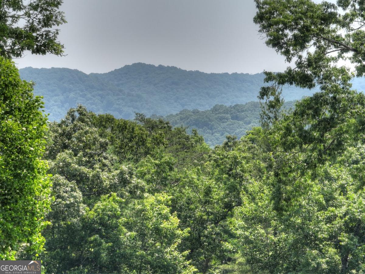 558 Tipton Springs Road, Morganton, GA 30560 — photo 2