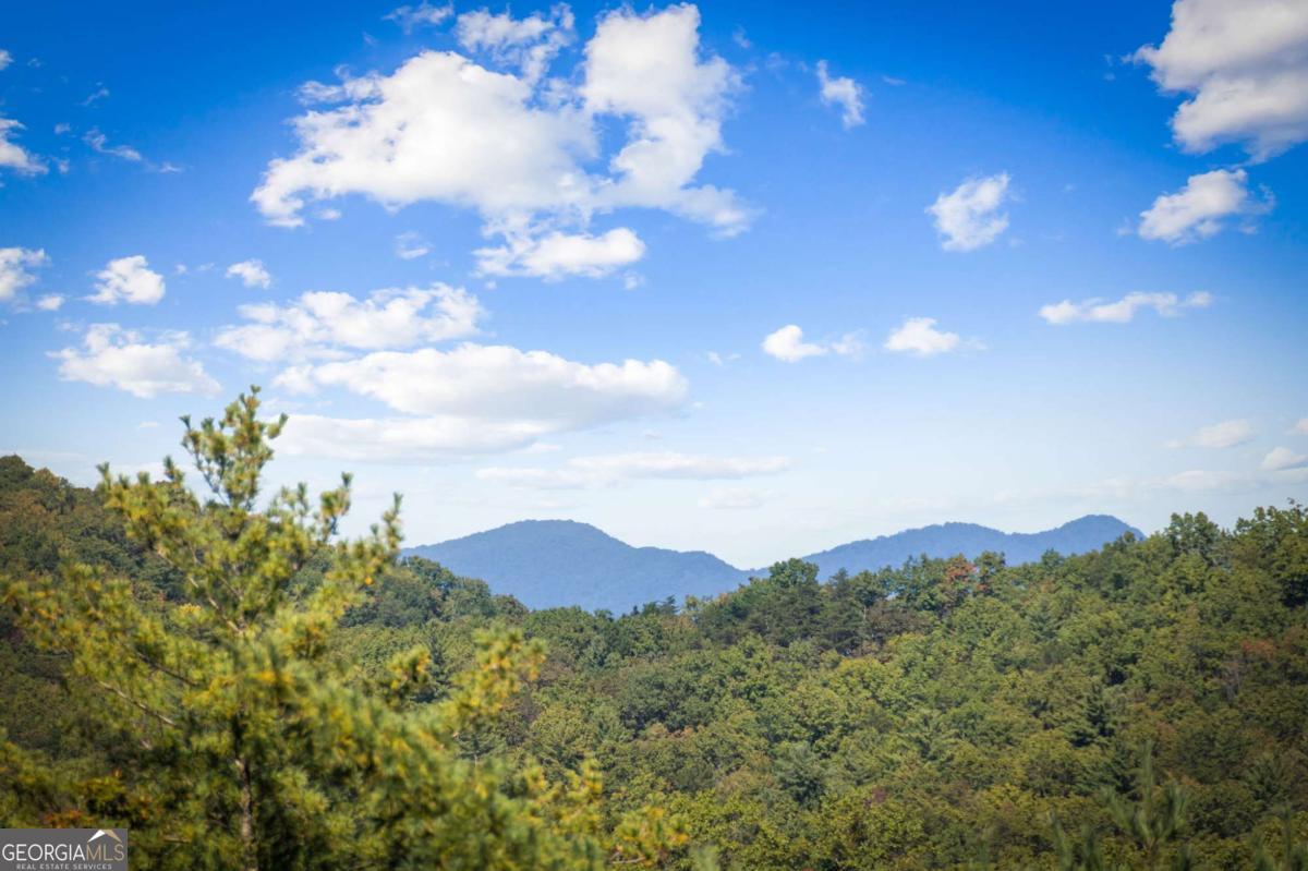 588 Bell Camp Ridge Road, Blue Ridge, GA 30513 — photo 3