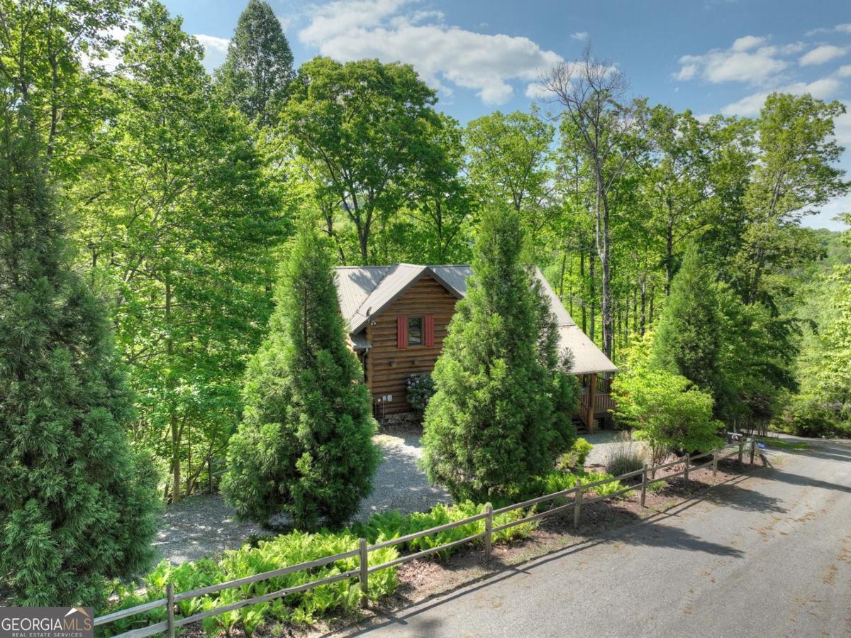 536 Lakeview Road #25, Blue Ridge, GA 30513 — photo 3