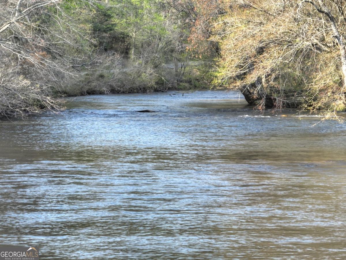 47 Downy Road #2, Blue Ridge GA 30513 — photo 3