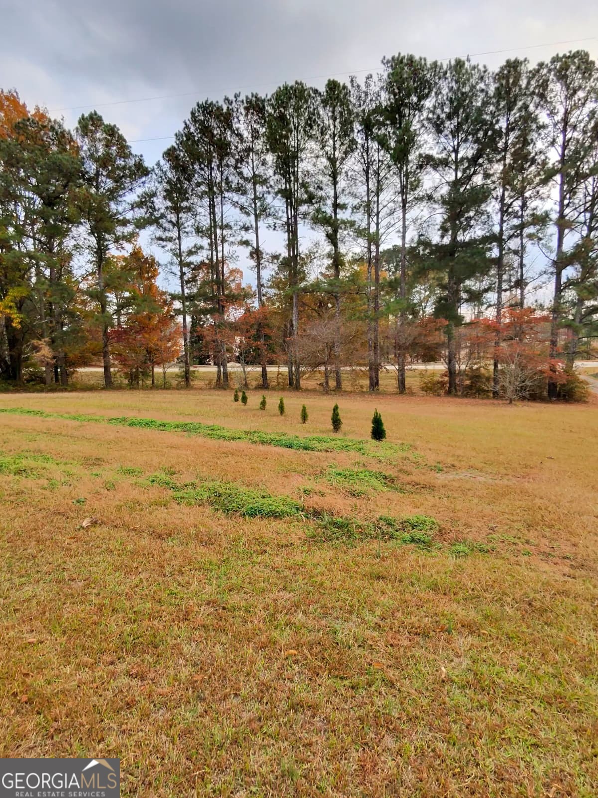 115 Frog Road #B, Locust Grove, GA 30248 — photo 3