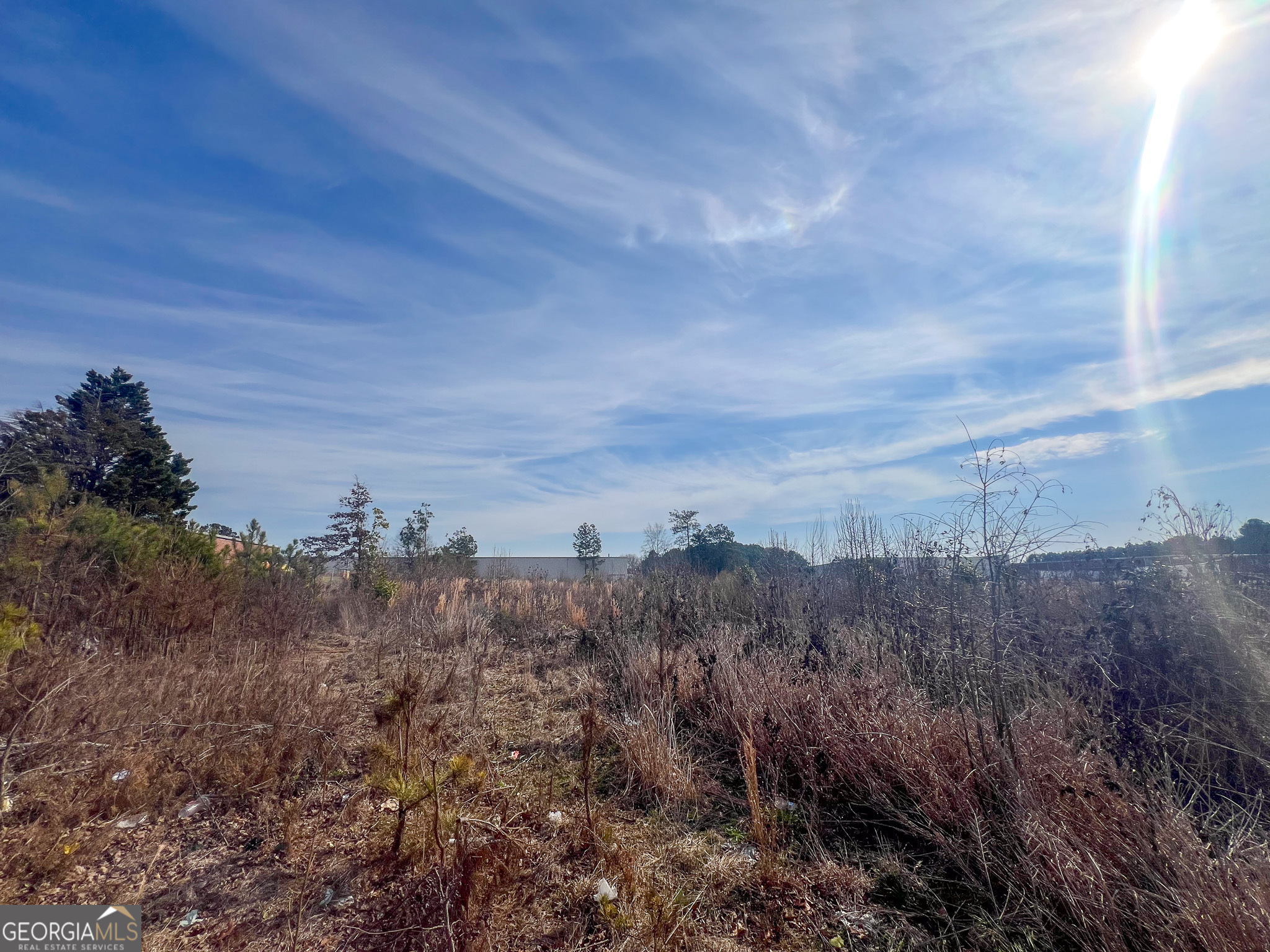 0 Everee Inn Road, Griffin, GA 30224