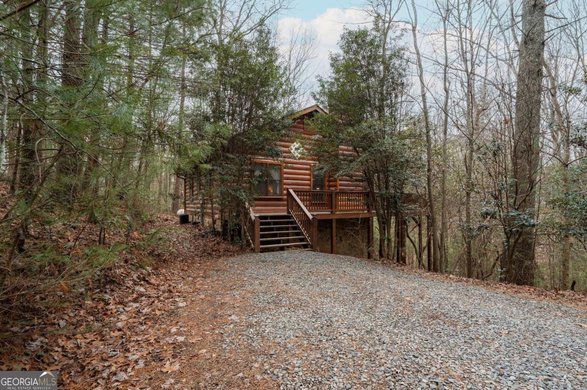1165 Little Bushy Head Road, Blue Ridge, GA 30513 — photo 2