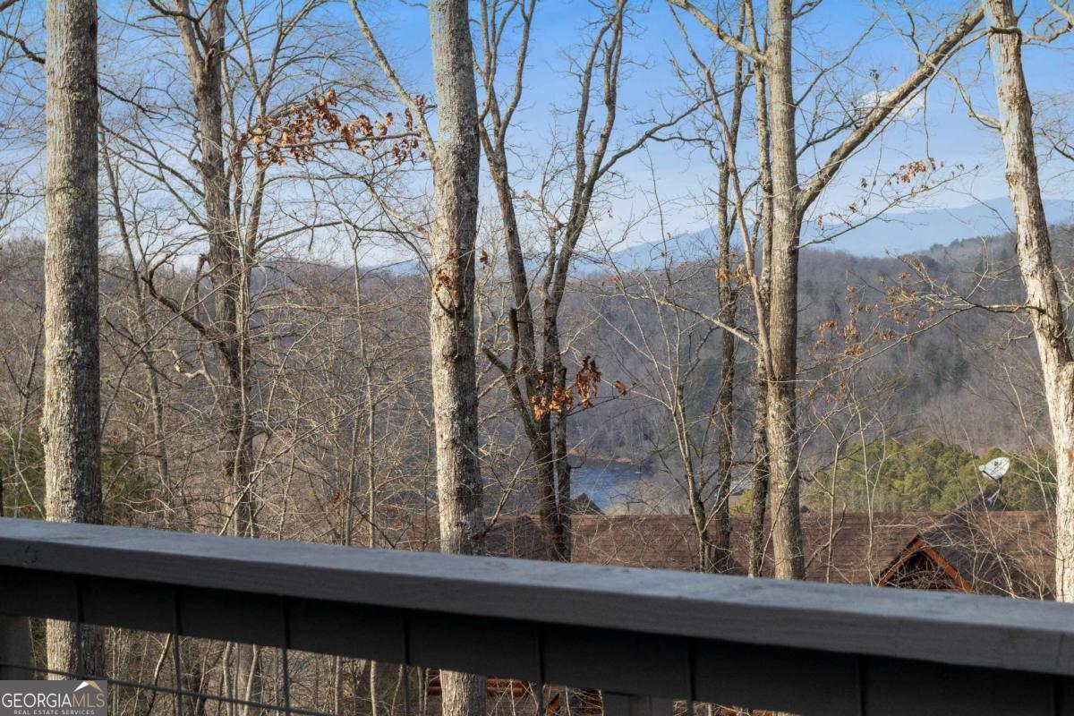 56 Robins RDG 5A, 5AA, +, Blue Ridge, GA 30513 — photo 2