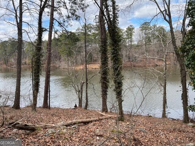 0 Lower Dixie Lake Road, Union City, GA 30291