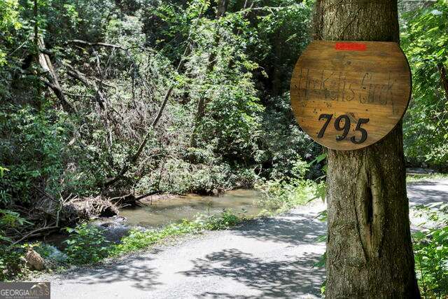 795 Kells Ridge Drive, Ellijay, GA 30540 — photo 3