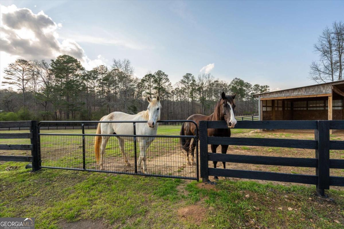 35 Saddleback Farms Dr — photo